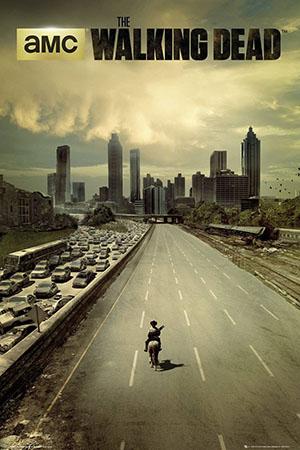 The Walking Dead afiche
