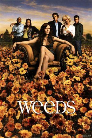 Weeds afiche