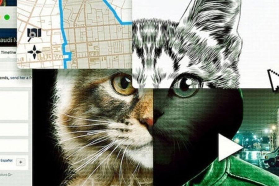 Collage de gatos e imágenes digitales, de la docuserie Don't F**k with Cats.
